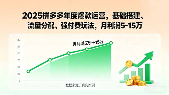 2025拼多多年度爆款运营，基础搭建、流量分配、强付费玩法，月利润5-15万| 网创圈