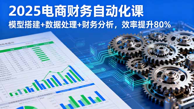 2025电商财务自动化课，模型搭建+数据处理+财务分析，效率提升80%| 网创圈