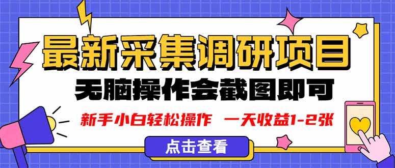 新版采集调研项目，截图上传即可，无脑操作，日收益1-2张| 网创圈