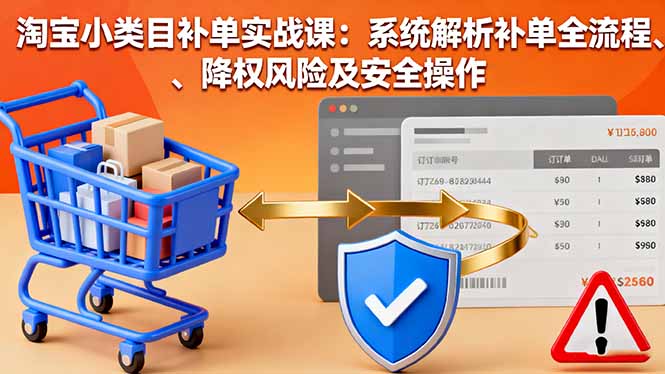 淘宝小类目补单实战课：系统解析补单全流程、降权风险及安全操作| 网创圈