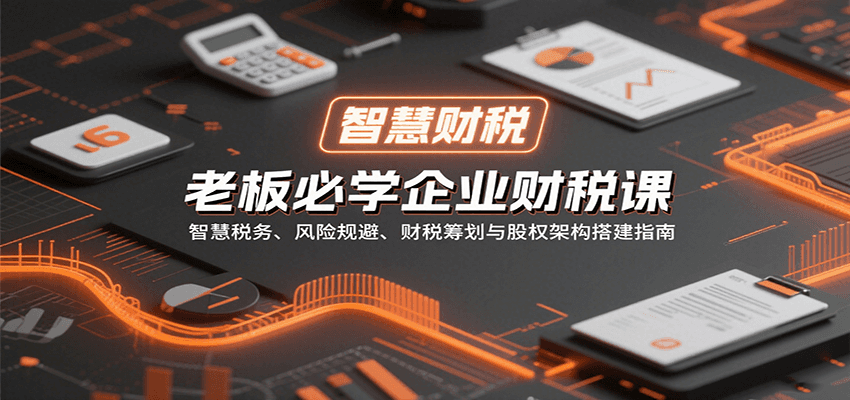 老板必学企业财税课：智慧税务、风险规避、财税筹划与股权架构搭建指南| 网创圈