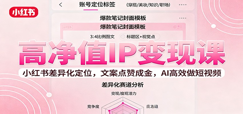 高净值IP变现课：小红书差异化定位，文案点赞成金， AI高效做短视频| 网创圈