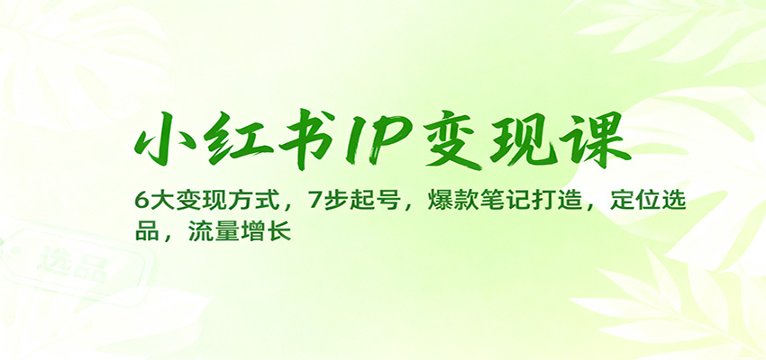 小红书IP变现课：6大变现方式，7步起号，爆款笔记打造，定位选品，流量增长| 网创圈