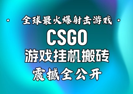 【年底大揭秘】基于全球最火爆的射击CSGO游戏挂G搬砖，日入5张+，震撼公开| 网创圈