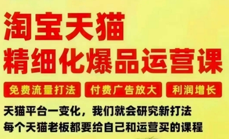 淘宝天猫精细化爆品运营课，免费流量打法-付费广告放大-利润增长-三大核心痛点，一次全部解决| 网创圈