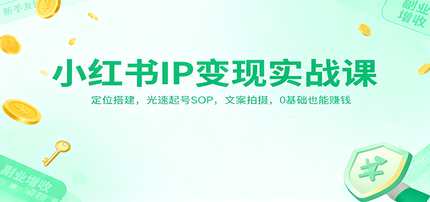 小红书IP变现实战课：定位搭建，光速起号SOP，文案拍摄，0基础也能赚钱| 网创圈