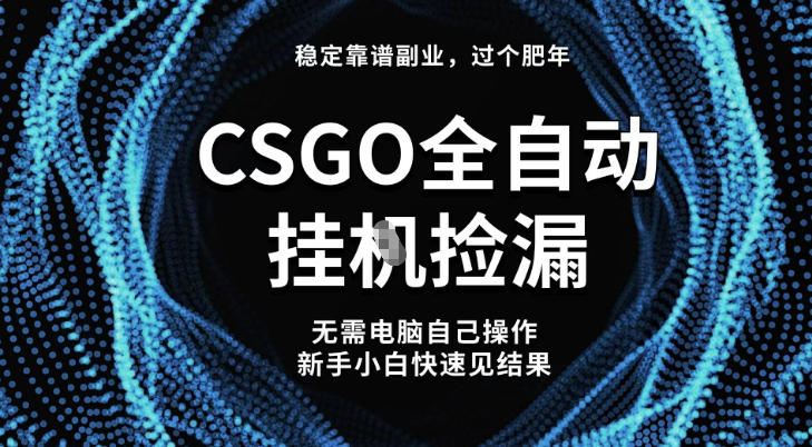 【稳定副业】全球最热门游戏CSGO全自动捡漏，最新玩法，新手小白日入5张+【揭秘】| 网创圈