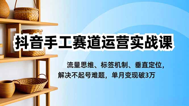 抖音手工赛道运营实战课，流量思维、标签机制、垂直定位，解决不起号难题，单月变现破3万| 网创圈
