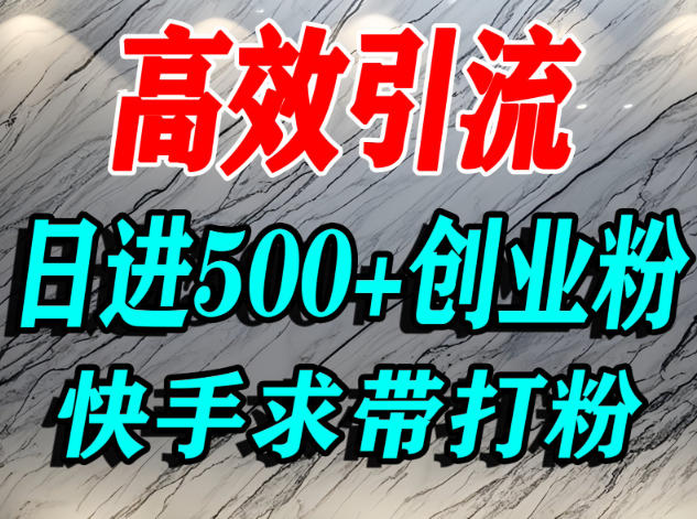 怎么打创业粉？快手求带视角精准引流创业粉，宝妈、学生群体日进500+精准流量| 网创圈