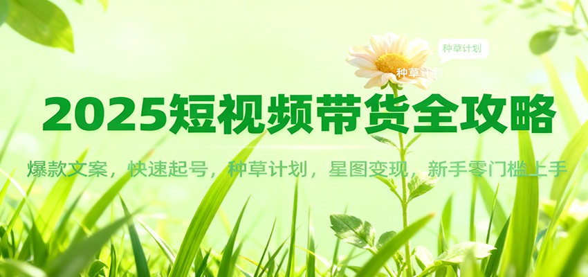 2025短视频带货全攻略：爆款文案，快速起号，种草计划，星图变现，新手零门槛上手| 网创圈