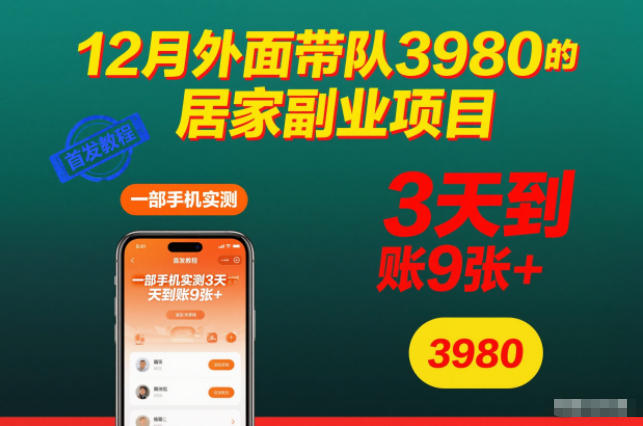 12月外面带队3980的居家副业项目，一部手机实测3天到账9张+，首发教程【揭秘】| 网创圈