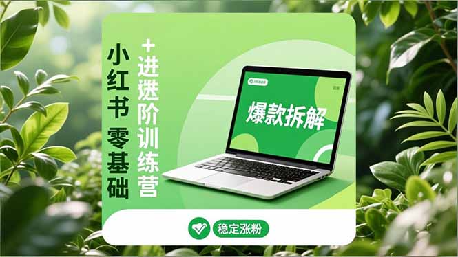 小红书零基础+高阶训练营：安全养号、爆款拆解、长效运营，实现稳定涨粉与变现| 网创圈
