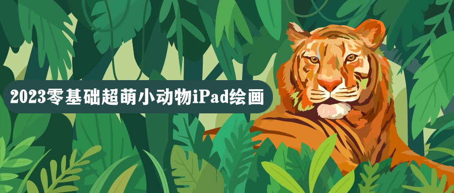 2023零基础超萌小动物iPad绘画| 网创圈