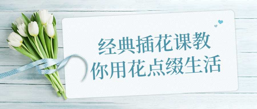 经典插花课教你用花点缀生活| 网创圈