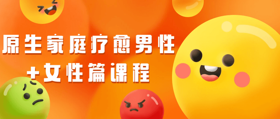 原生家庭疗愈男性+女性篇课程| 网创圈