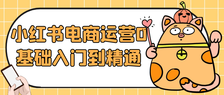 小红书电商运营0基础入门到精通| 网创圈