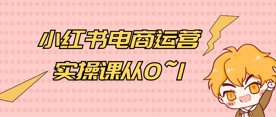 小红书电商运营实操课从0~1| 网创圈