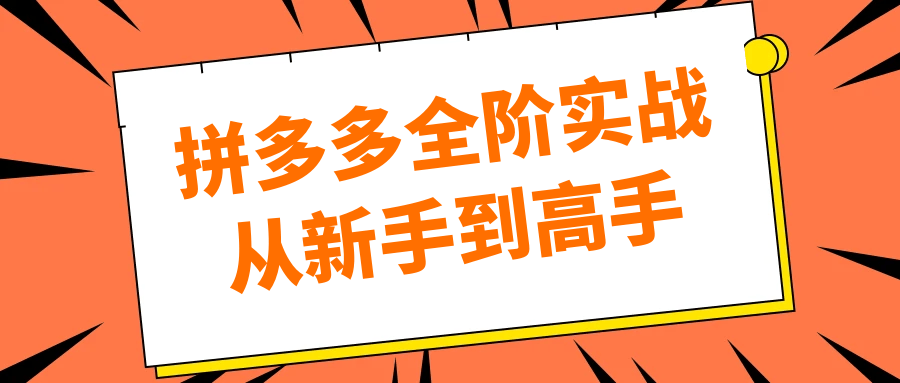 拼多多全阶实战从新手到高手| 网创圈
