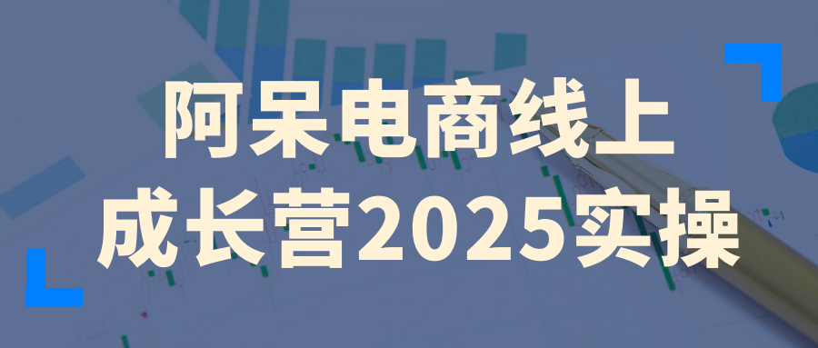 阿呆电商线上成长营2025实操| 网创圈