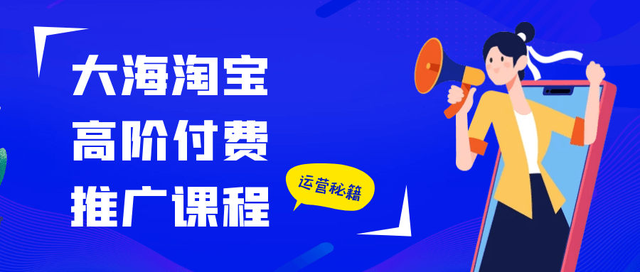 大海淘宝高阶付费推广课程| 网创圈