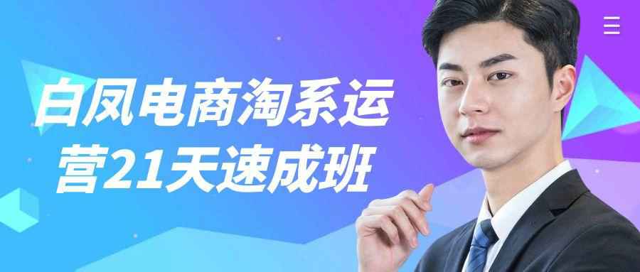 白凤电商淘系运营21天速成班| 网创圈