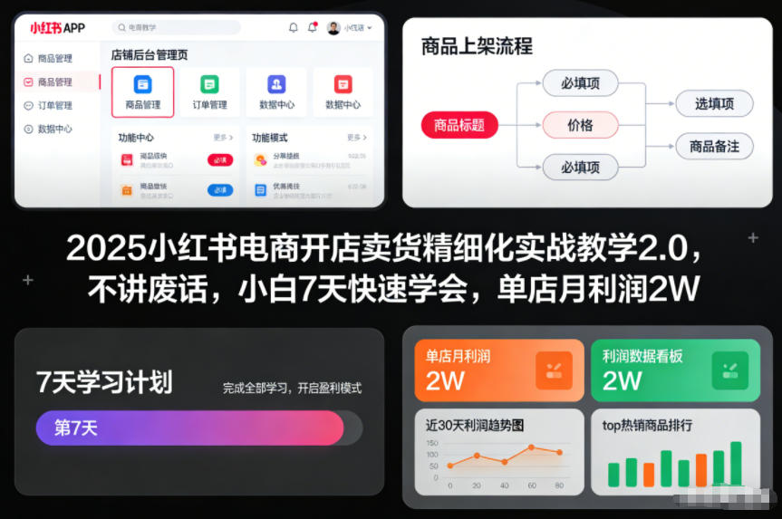 2025小红书电商开店卖货精细化实战教学2.0，不讲废话，小白7天快速学会，单店月利润2W| 网创圈