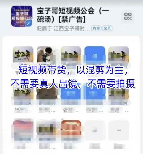 宝子哥头部团队短视频带货，以混剪为主，不需要真人出镜，不需要拍摄【更新11月】| 网创圈