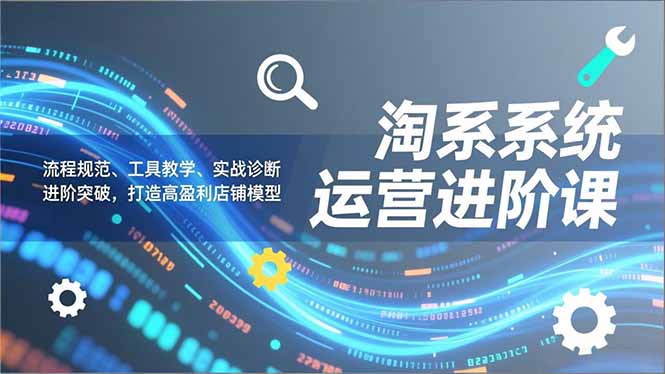 淘系系统运营进阶课2.0，流程规范、工具教学、实战诊断，进阶突破，打造高盈利店铺模型| 网创圈