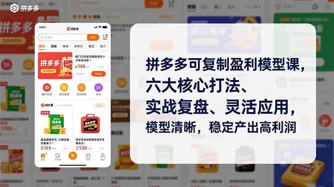 拼多多可复制盈利模型课，六大核心打法、实战复盘、灵活应用，模型清晰，稳定产出高利润| 网创圈