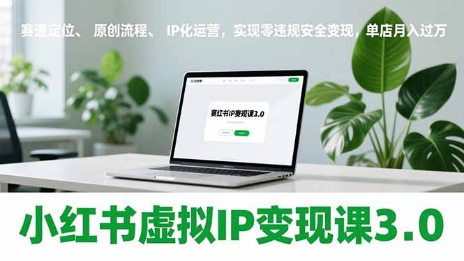 小红书虚拟IP变现课3.0，赛道定位、原创流程、IP化运营，实现零违规安全变现，单店月入过万| 网创圈