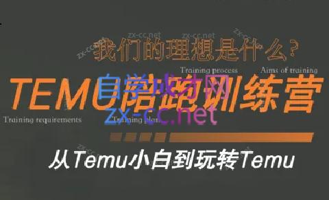 苗苗·拼多多跨境（temu）课程| 网创圈