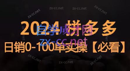 恒哥·2024拼多多日销0-100单实操| 网创圈
