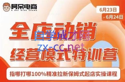 阿呆电商·全店动销经营模式特训营(线下录音+思维导图)| 网创圈