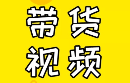 芒果老师·教你做抖音短视频和直播带货| 网创圈