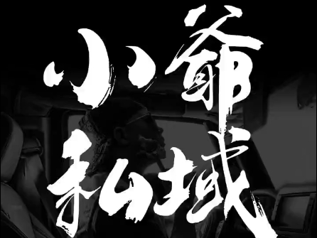 小爷·私域项目操盘手| 网创圈