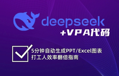 DeepSeek从入门到精通：解锁Excel和VBA高效办公新技能(更新)| 网创圈