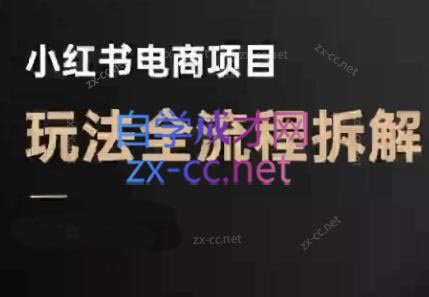 菲菲老师·小红书电商玩法(更新7月)| 网创圈