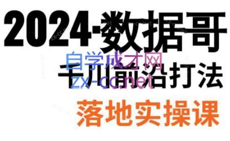 数据哥·2024年千川前沿打法落地实操课| 网创圈
