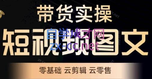 鑫哥·2024零基础短视频带货实操营| 网创圈