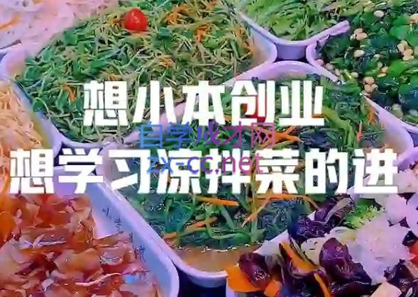 李记·精品凉拌菜系列热卤系列教程| 网创圈