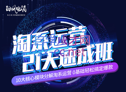 淘系运营21天速成班(更新24年6月)| 网创圈