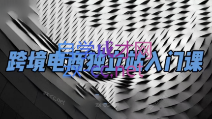 团长·跨境电商独立站入门课(2小时精华)| 网创圈