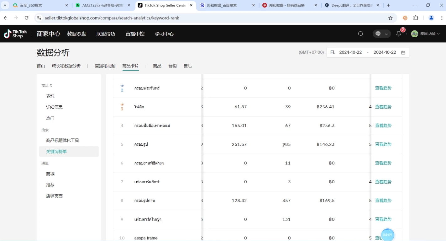大鱼老师·Tiktok东南亚小店运营| 网创圈
