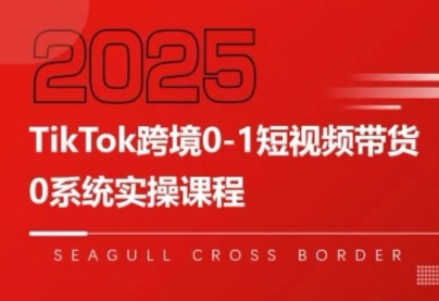 大亿老师·TikTok跨境0-1短视频带货| 网创圈