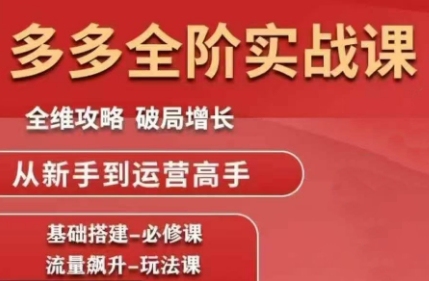 大炮·拼多多全阶实战课程(更新2026)| 网创圈