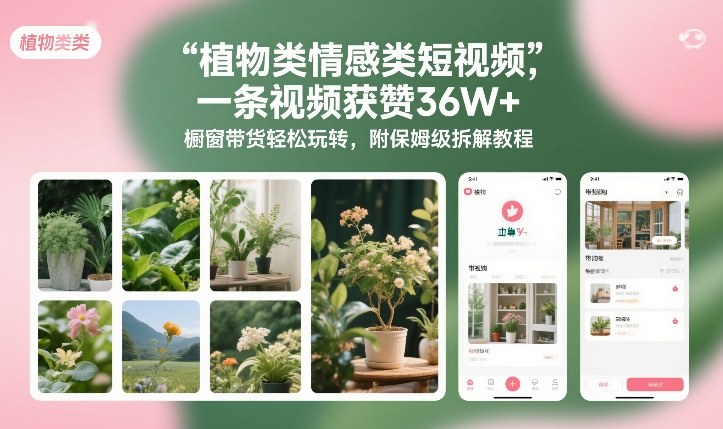植物类情感类短视频，一条视频获赞36W+，橱窗带货轻松玩转，附保姆级拆解教程| 网创圈