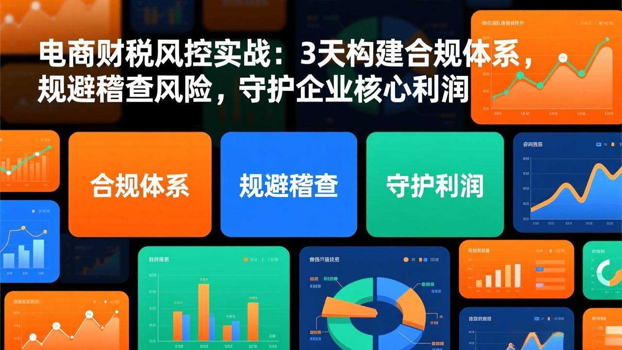 电商财税风控实战：3天构建合规体系，规避稽查风险，守护企业核心利润| 网创圈