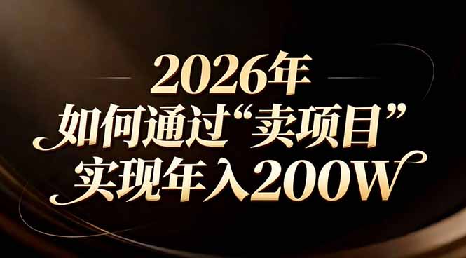站在2026年的十字路口：一个普通人如何通过卖项目实现年入200万| 网创圈