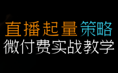 半野老师·直播带货起量与微付费必学课视频号(更新2026)| 网创圈