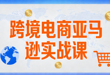 丝丝老师·跨境电商亚马逊实战课(更新2月)| 网创圈